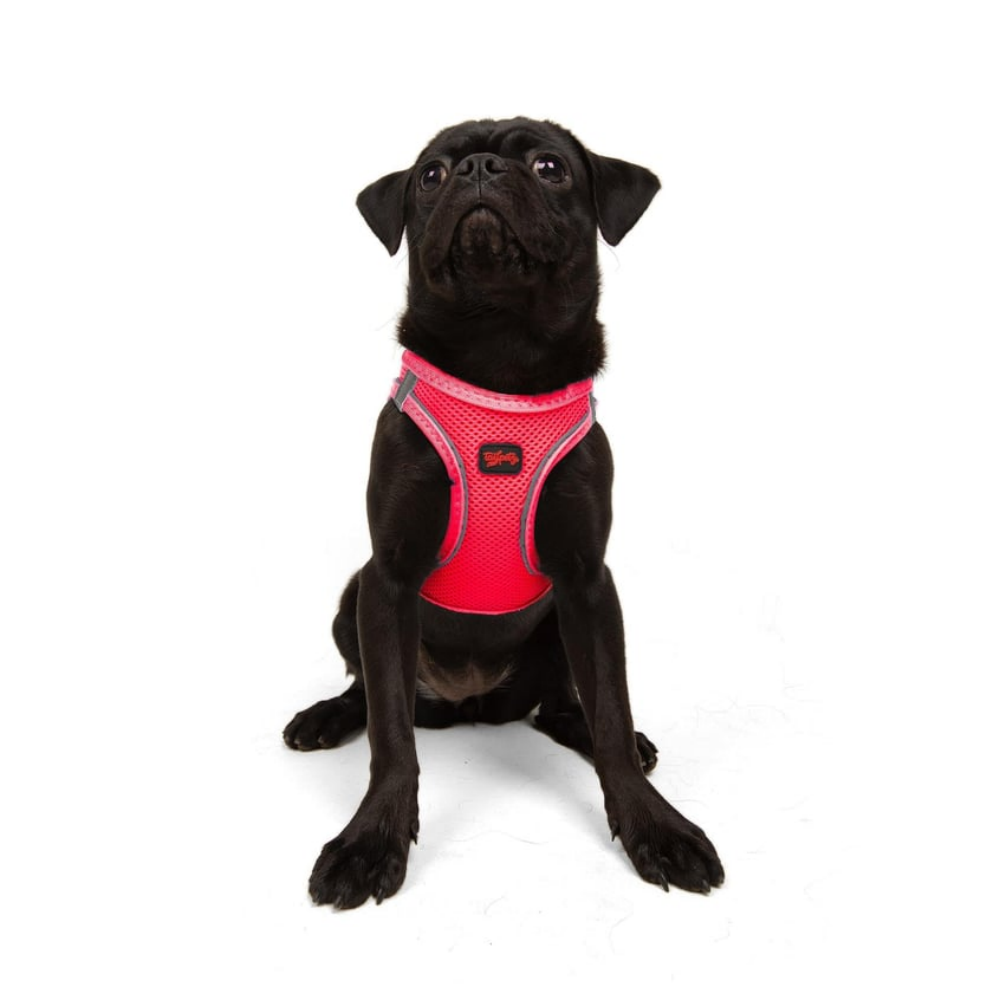TailPetz Airmesh Neo Pink Köpek Göğüs Tasması M