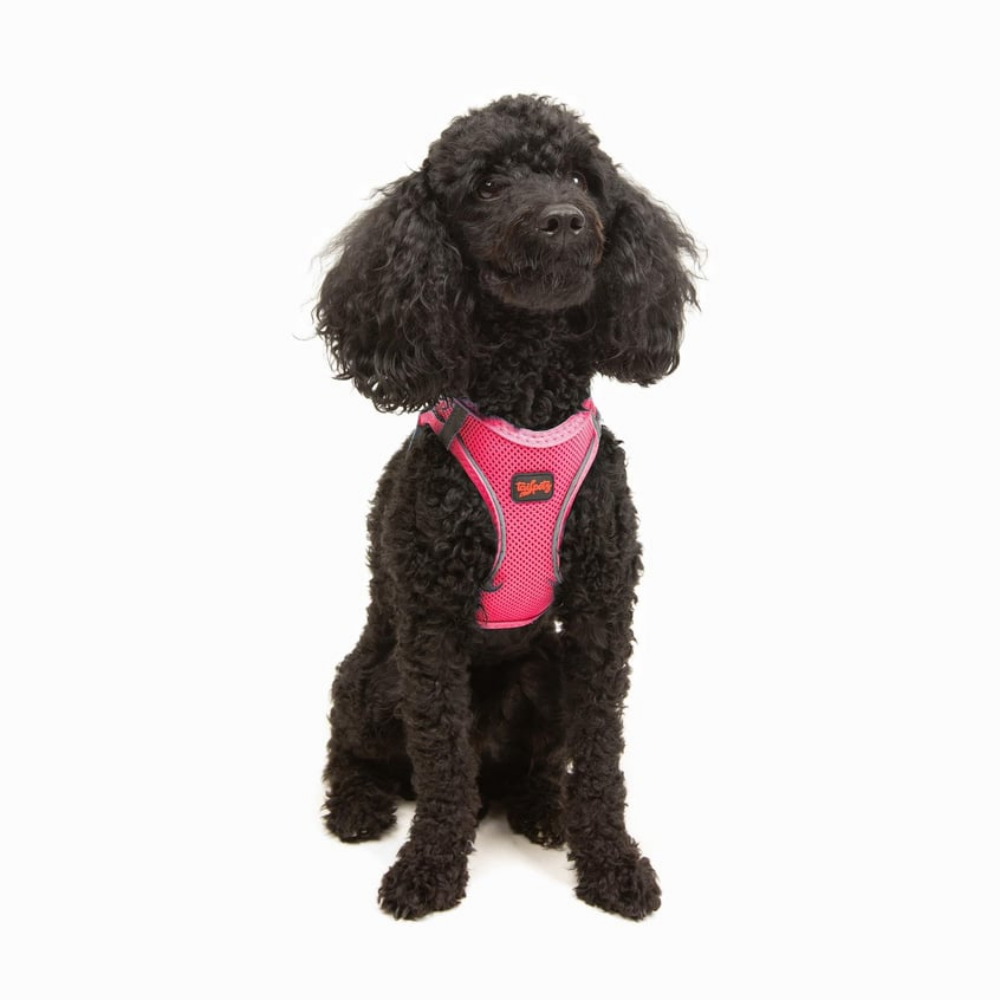 TailPetz Airmesh Neo Pink Köpek Göğüs Tasması XS