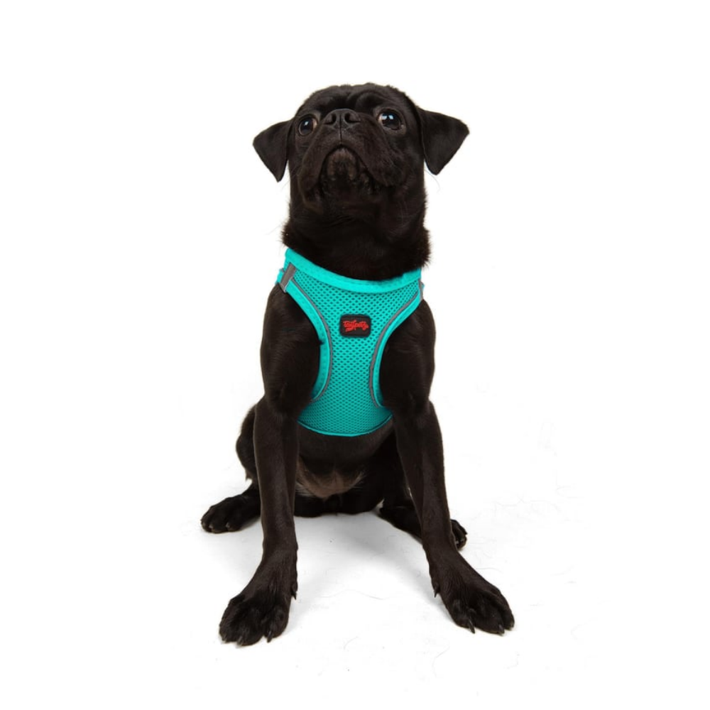 TailPetz Airmesh Ocean Köpek Göğüs Tasması M