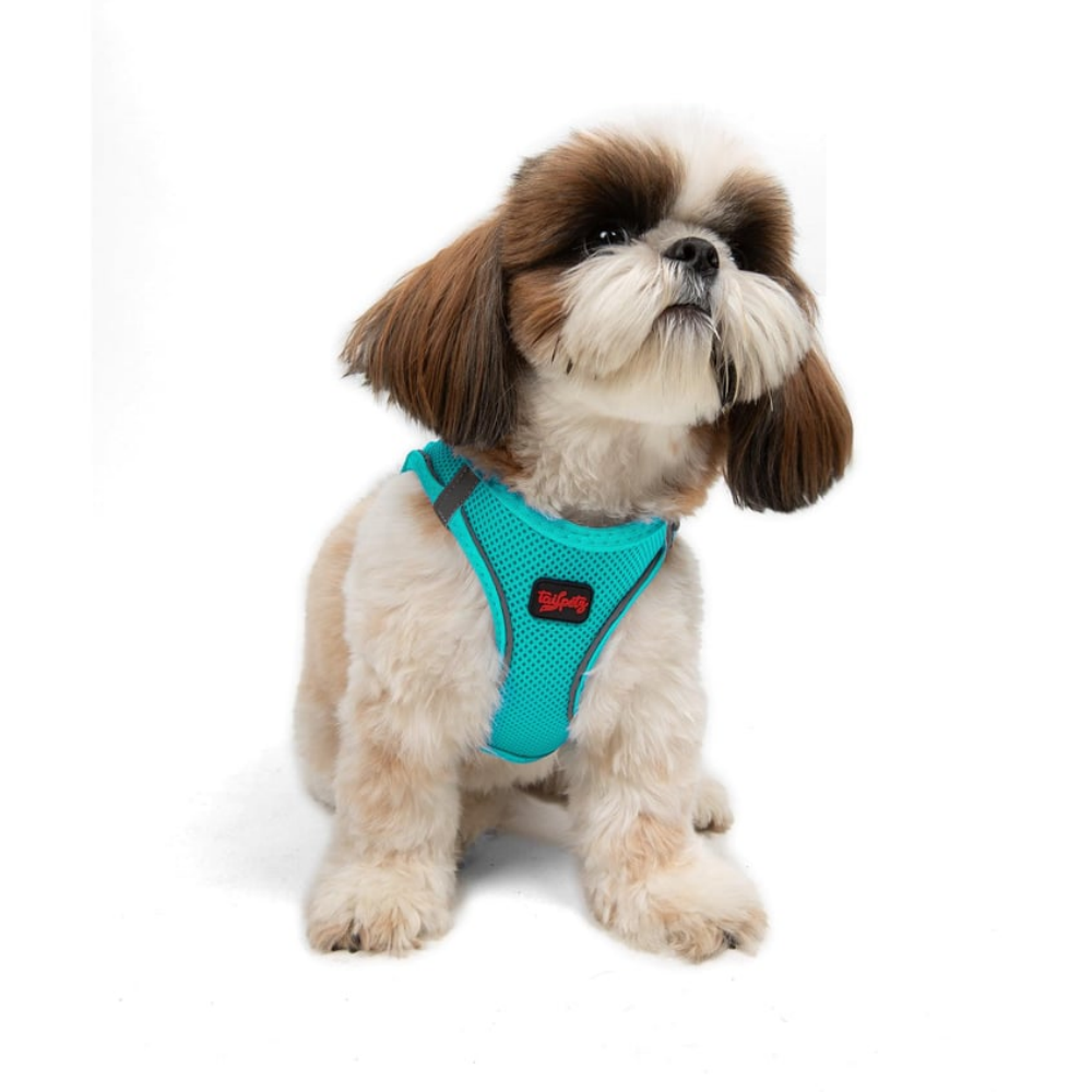TailPetz Airmesh Ocean Köpek Göğüs Tasması S