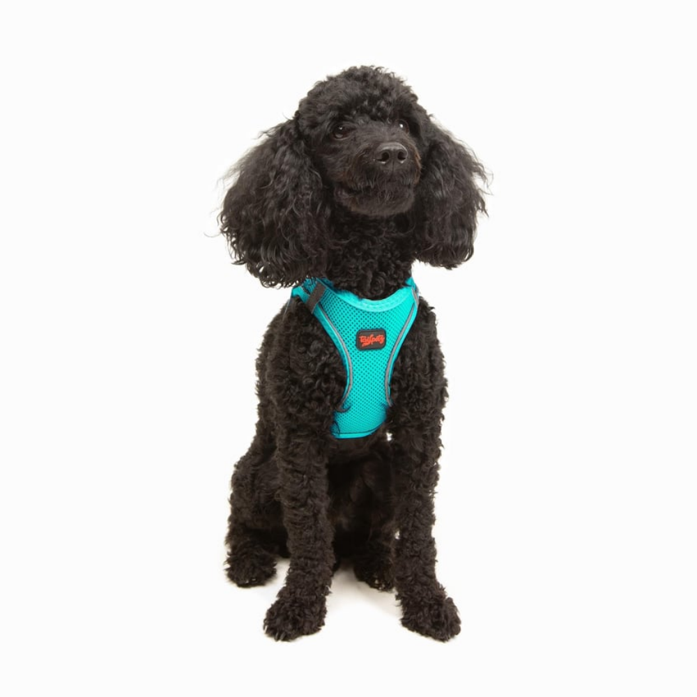 TailPetz Airmesh Ocean Köpek Göğüs Tasması XS