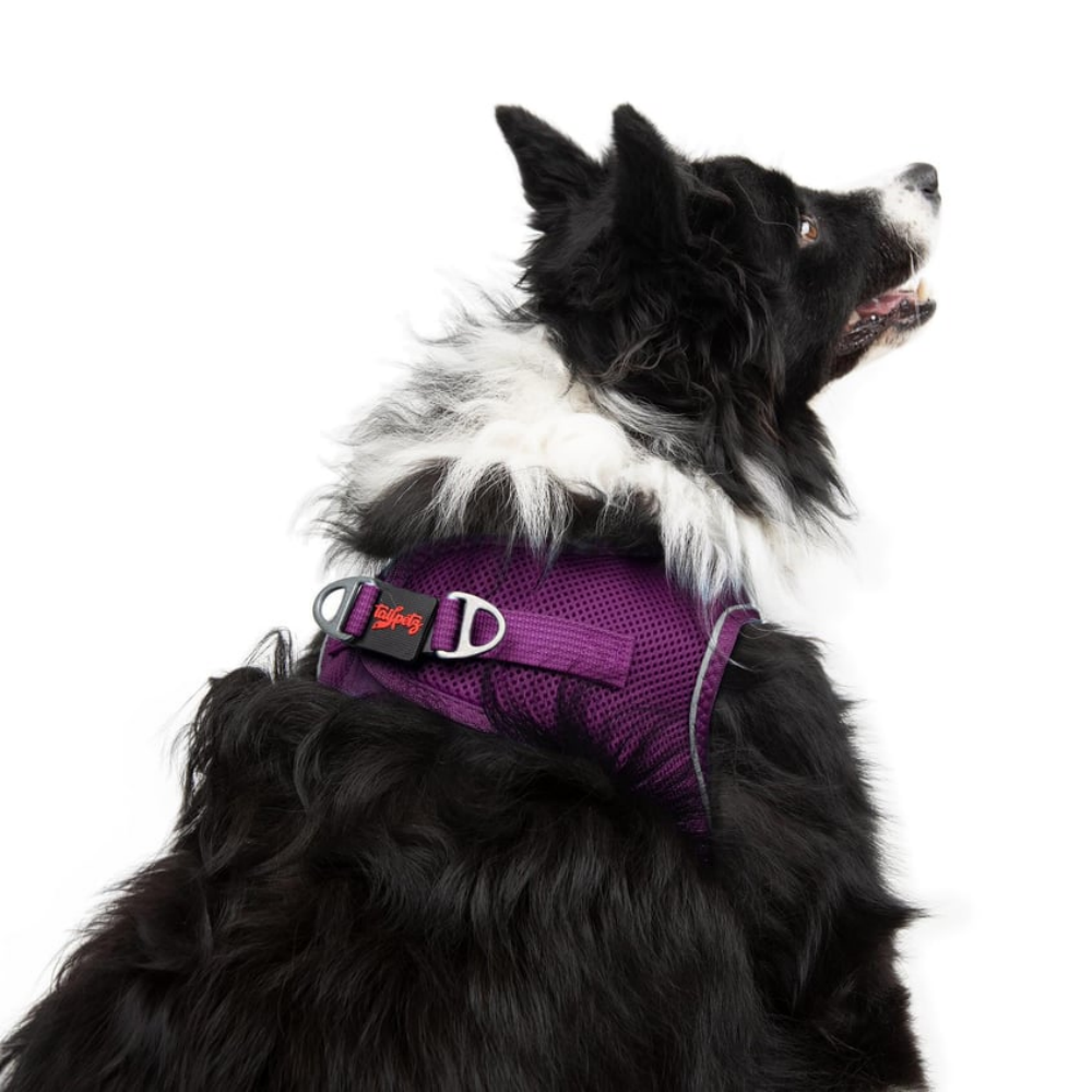 TailPetz Airmesh Purple Köpek Göğüs Tasması XL
