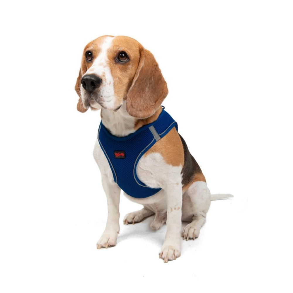 TailPetz Airmesh Sax Köpek Göğüs Tasması L