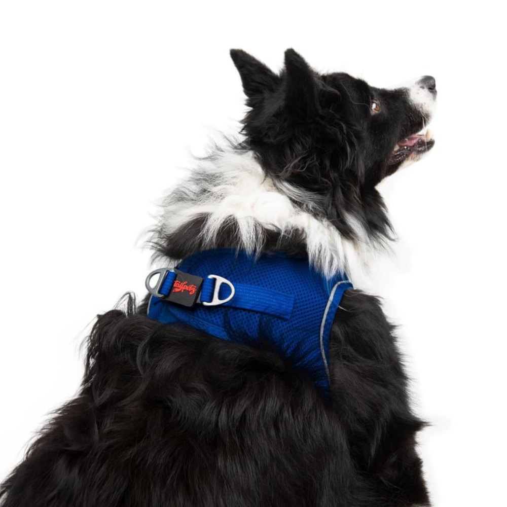 TailPetz Airmesh Sax Köpek Göğüs Tasması XL