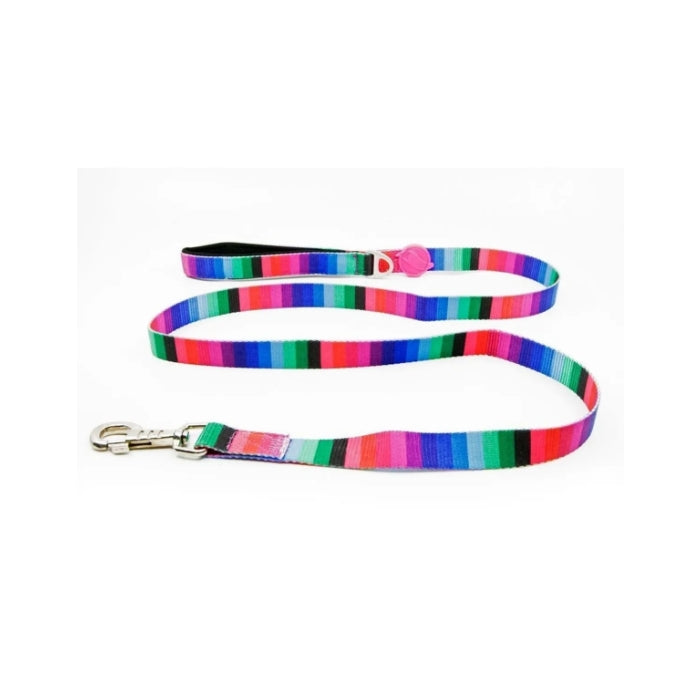 Tailpetz Köpek Gezdirme Kayışı Wave