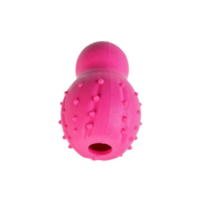 Zampa Köpekler İçin Şekilli Oyuncak, 9.5cm