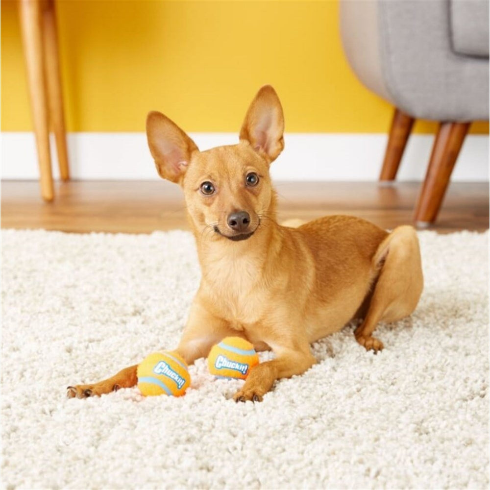Chuckit! 2'li Köpek Tenis Oyun Topu (Küçük Boy)
