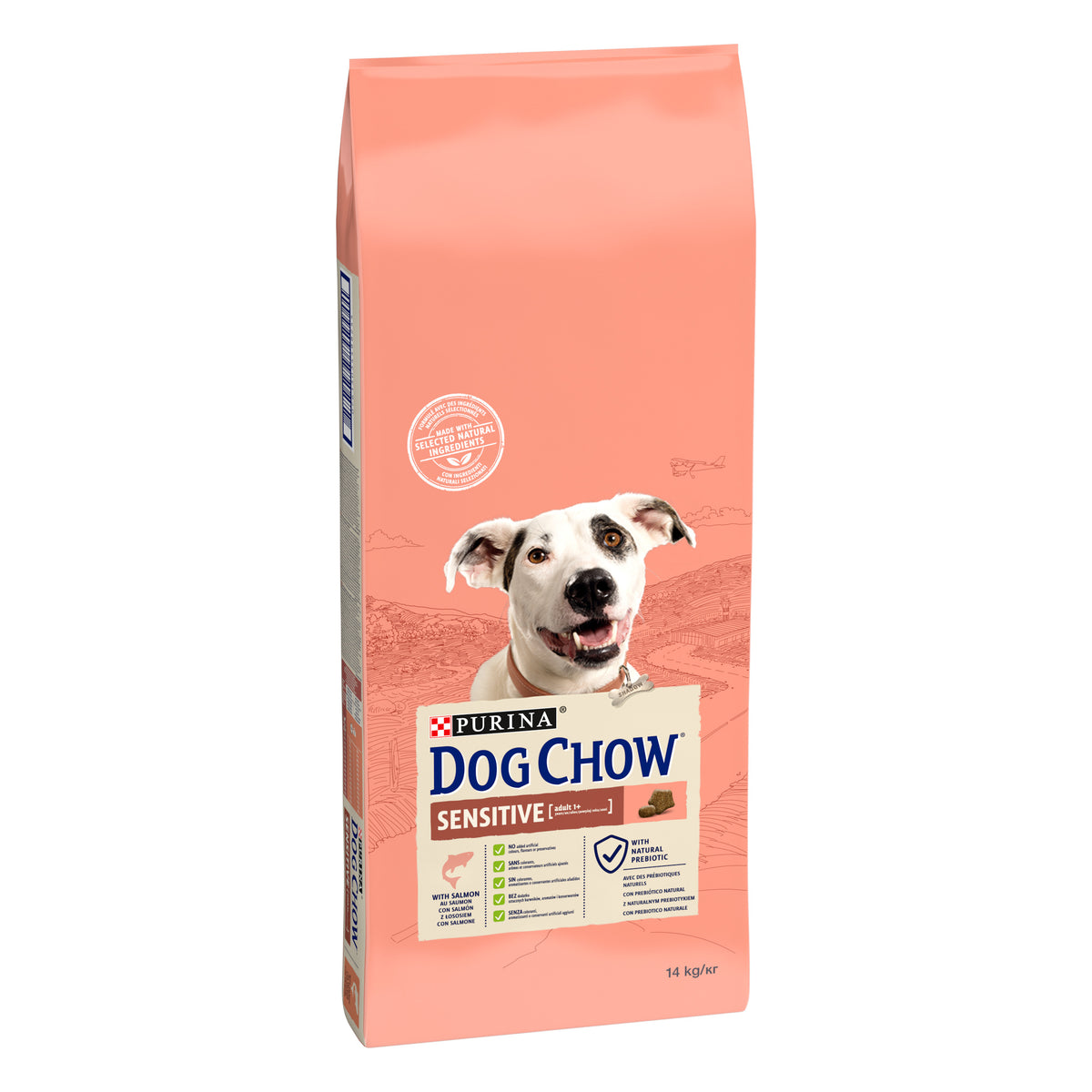Dog Chow Somonlu 14 Kg Yetişkin Kuru Köpek Maması