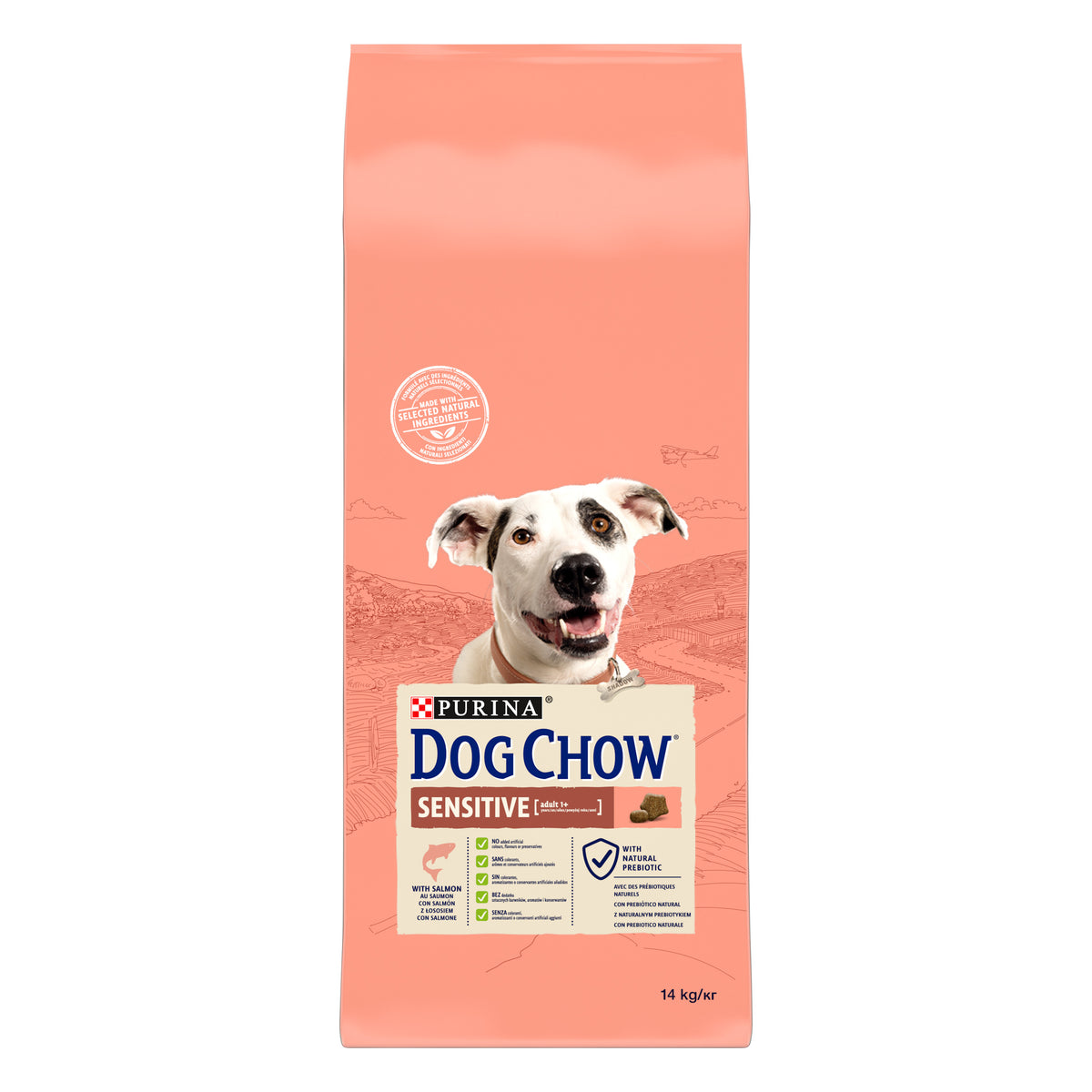 Dog Chow Somonlu 14 Kg Yetişkin Kuru Köpek Maması