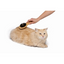 M-PETS Bamboo Çift Taraflı Fırça