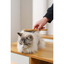 M-PETS Bamboo Tek Taraflı Fırça