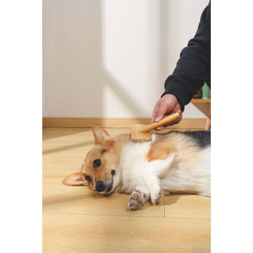 M-PETS Bamboo İnce Telli Fırça (M)