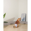 M-Pets Dişi Köpekler İçin Yıkanabilir Külot (XS)