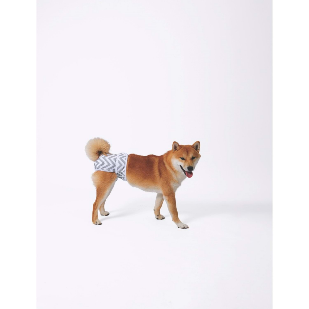 M-Pets Dişi Köpekler İçin Yıkanabilir Külot (S)