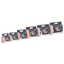 M-Pets Carbonlu Diapers Dişi Köpekler İçin Külot (XS) 15Li