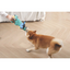 M-Pets Mega Hyena Köpek Oyuncağı