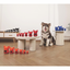 M-Pets Power Chew Kauçuk Köpek Ödül Oyuncağı Cıtrıne (XXL)