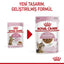 Royal Canin Kitten Sterilised Gravy Souce 85Gr