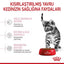 Royal Canin Kitten Sterilised Gravy Souce 85Gr