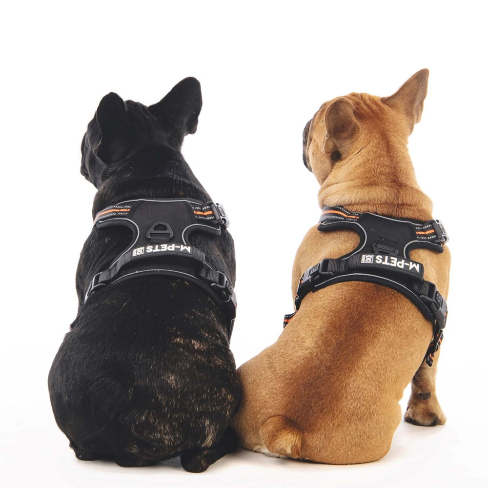 M-Pets Hıkıng Reflektörlü Soft Sırt Tasması Orange (L)