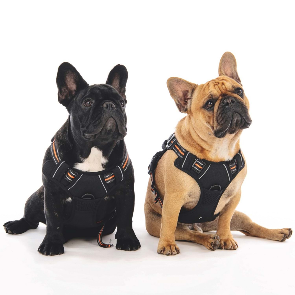 M-Pets Hıkıng Reflektörlü Soft Sırt Tasması Orange (XL)