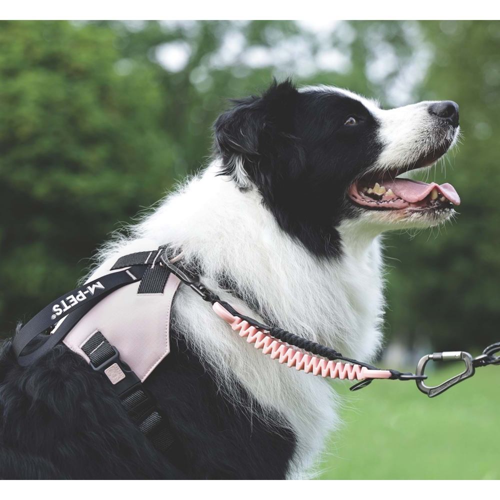 M-Pets Orıgamı Reflektörlü Sırt Tasması Pink (S)