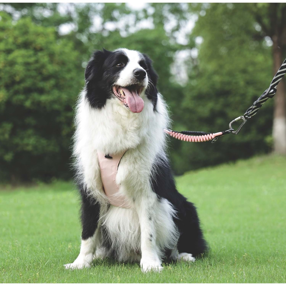 M-Pets Orıgamı Reflektörlü Sırt Tasması Pink (S)