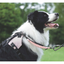 M-Pets Orıgamı Reflektörlü Sırt Tasması Pink (M)