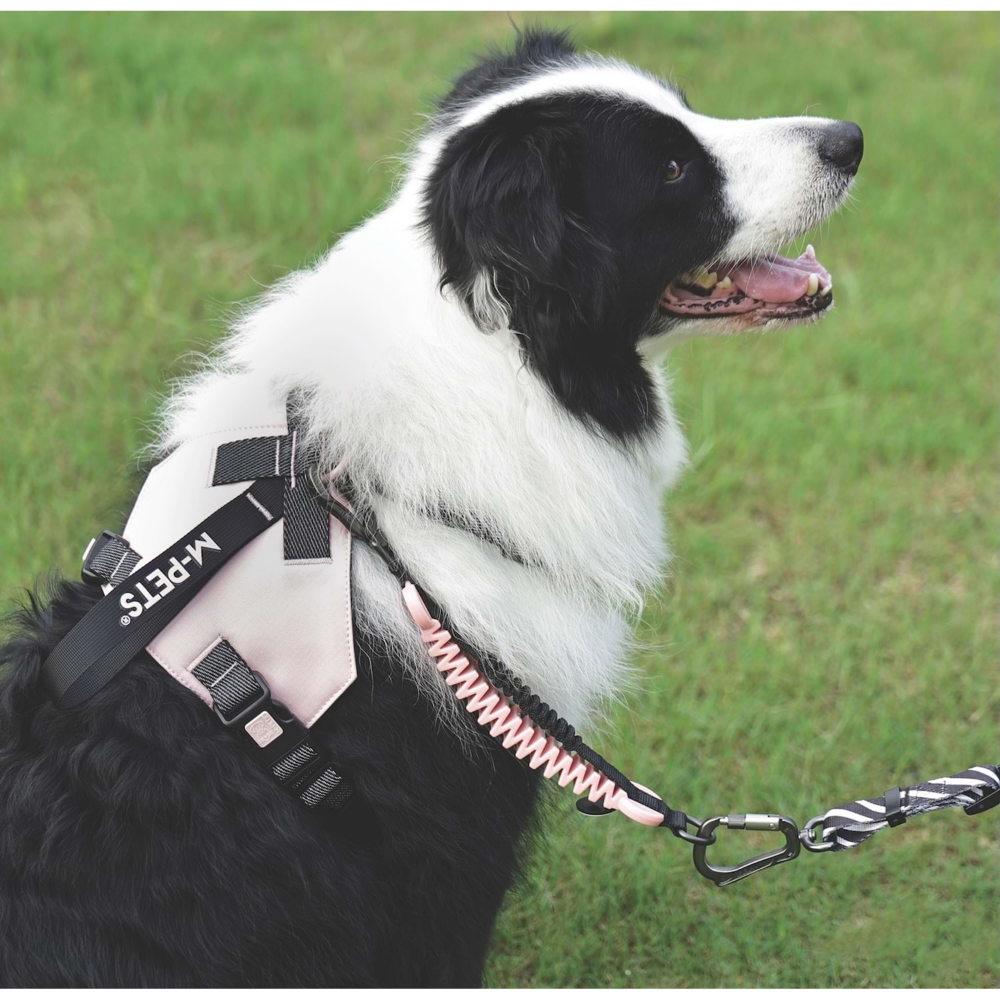 M-Pets Orıgamı Reflektörlü Sırt Tasması Pink (M)