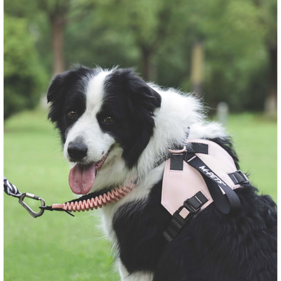 M-Pets Orıgamı Reflektörlü Sırt Tasması Pink (L)