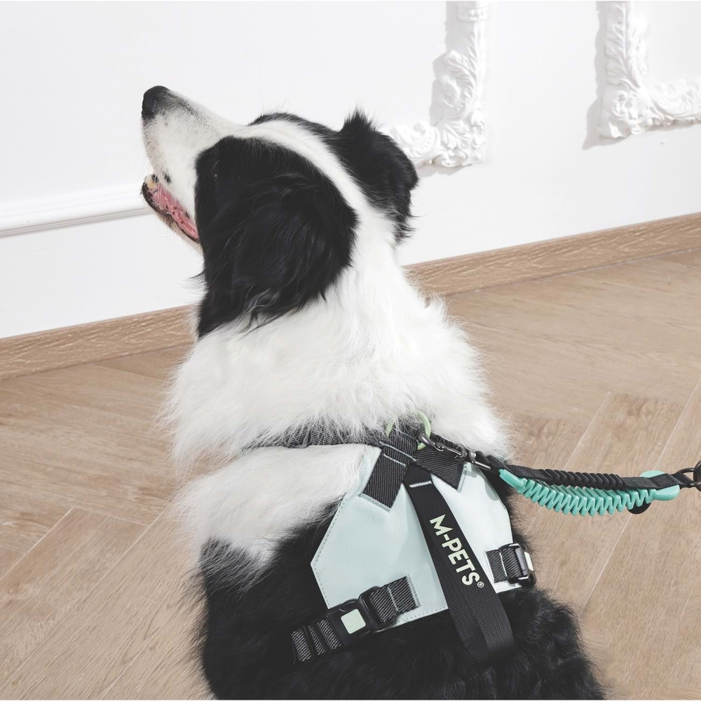 M-Pets Orıgamı Reflektörlü Sırt Tasması Green (S)