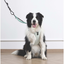 M-Pets Orıgamı Reflektörlü Sırt Tasması Green (M)
