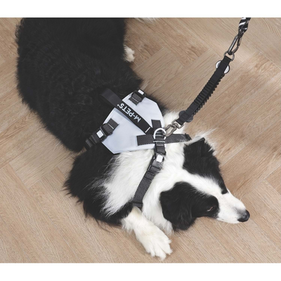 M-Pets Orıgamı Reflektörlü Sırt Tasması Blue (S)