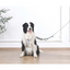 M-Pets Orıgamı Reflektörlü Sırt Tasması Blue (S)