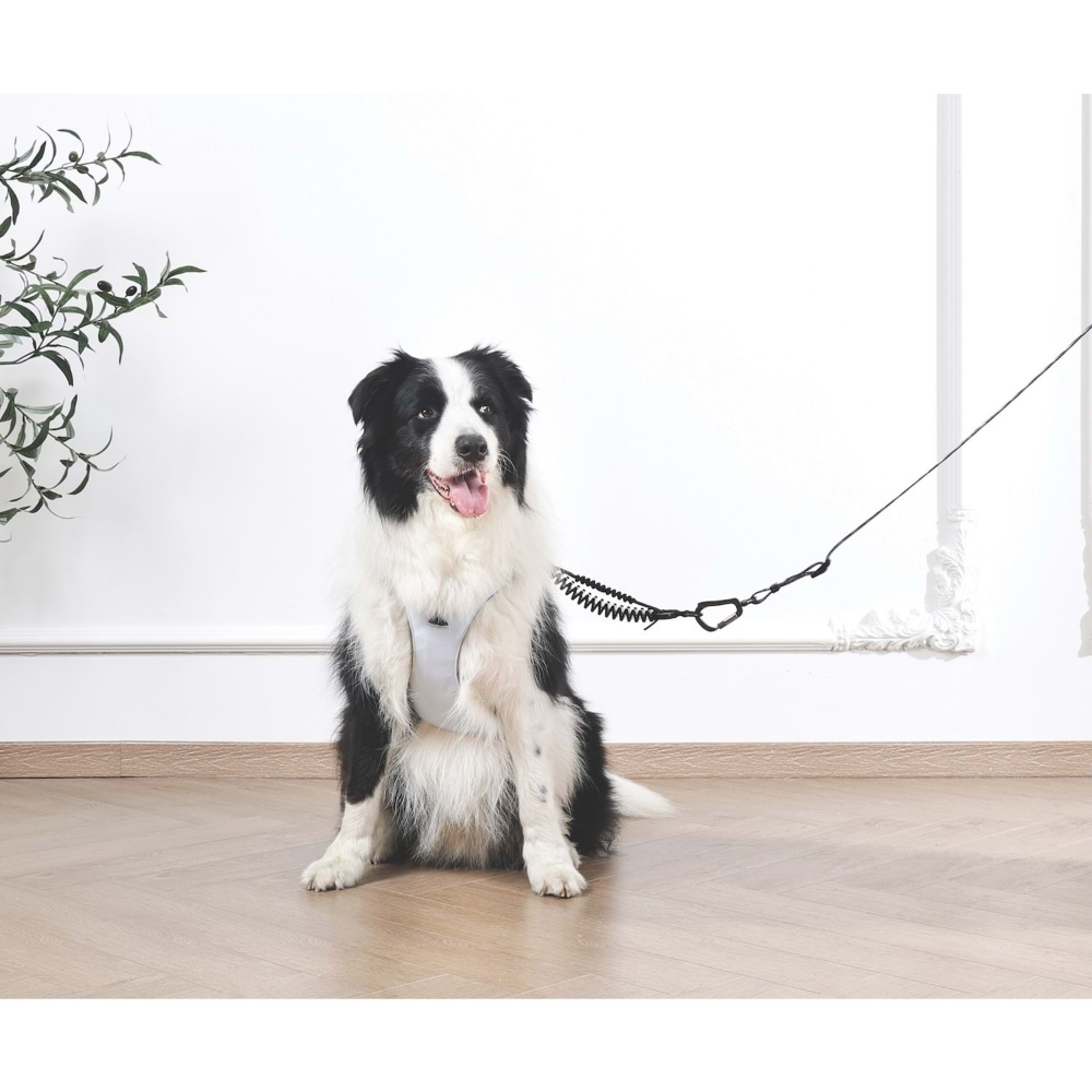 M-Pets Orıgamı Reflektörlü Sırt Tasması Blue (S)