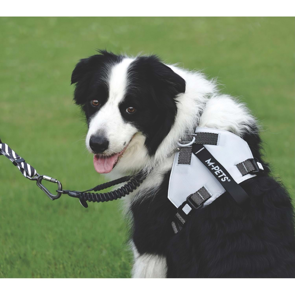 M-Pets Orıgamı Reflektörlü Sırt Tasması Blue (S)