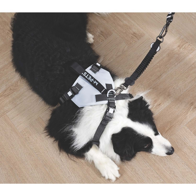 M-Pets Orıgamı Reflektörlü Sırt Tasması Blue (L)