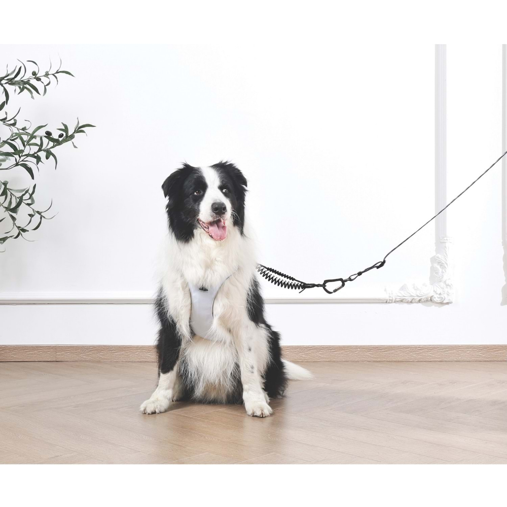 M-Pets Orıgamı Reflektörlü Sırt Tasması Blue (L)