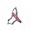 M-Pets Urban Style Graffiti Norwegian Köpek Göğüs Tasması (M)