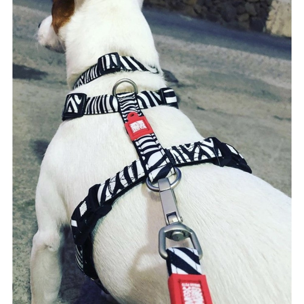 Max & Molly Zebra Göğüs Tasması M