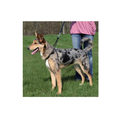 Trixie Köpek Yürüme Eğitim Tasması Small 27–36cm/20mm