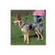Trixie Köpek Yürüme Eğitim Tasması Small 27–36cm/20mm