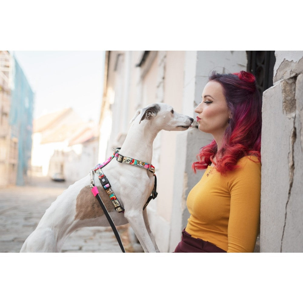 Max & Molly Missy Pop Göğüs Tasması S