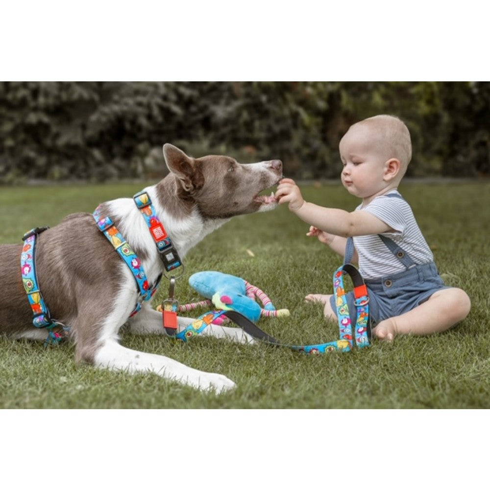 Max & Molly Lite Monsters Göğüs Tasması L