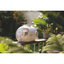 M-Pets Submarıne Taşıma Çantası White 49X32X30cm