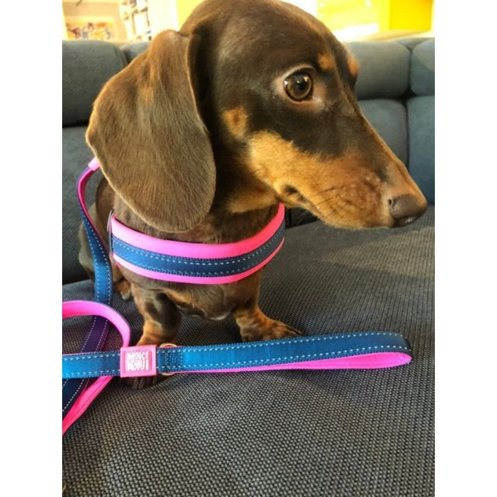 Max & Molly Q-Fit Matrix Pink Göğüs Tasması S