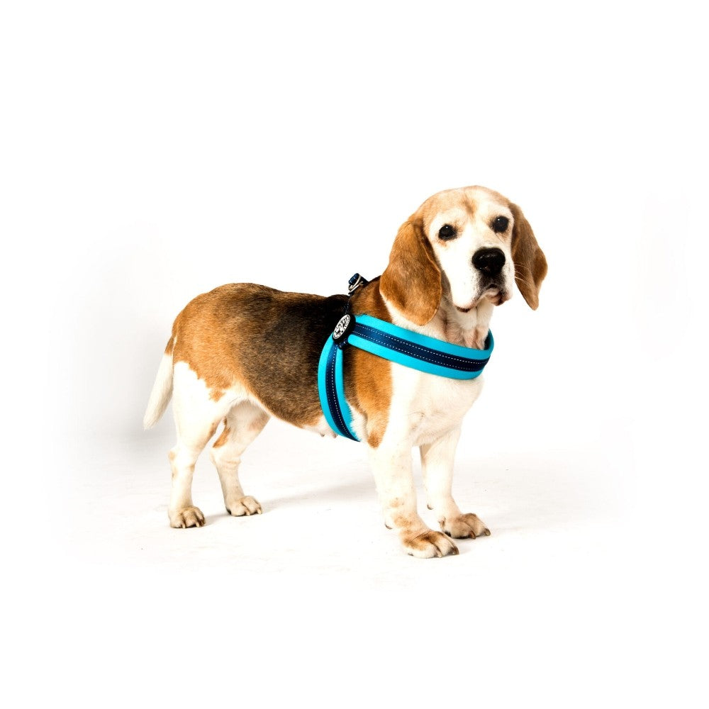 Max & Molly Q-Fit Matrix Sky Blue Göğüs Tasması S