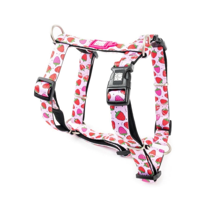 Max & Molly Strawberry Dream Köpek Göğüs Tasması S