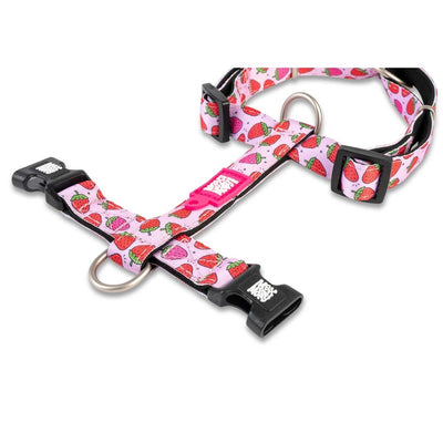 Max & Molly Strawberry Dream Köpek Göğüs Tasması S