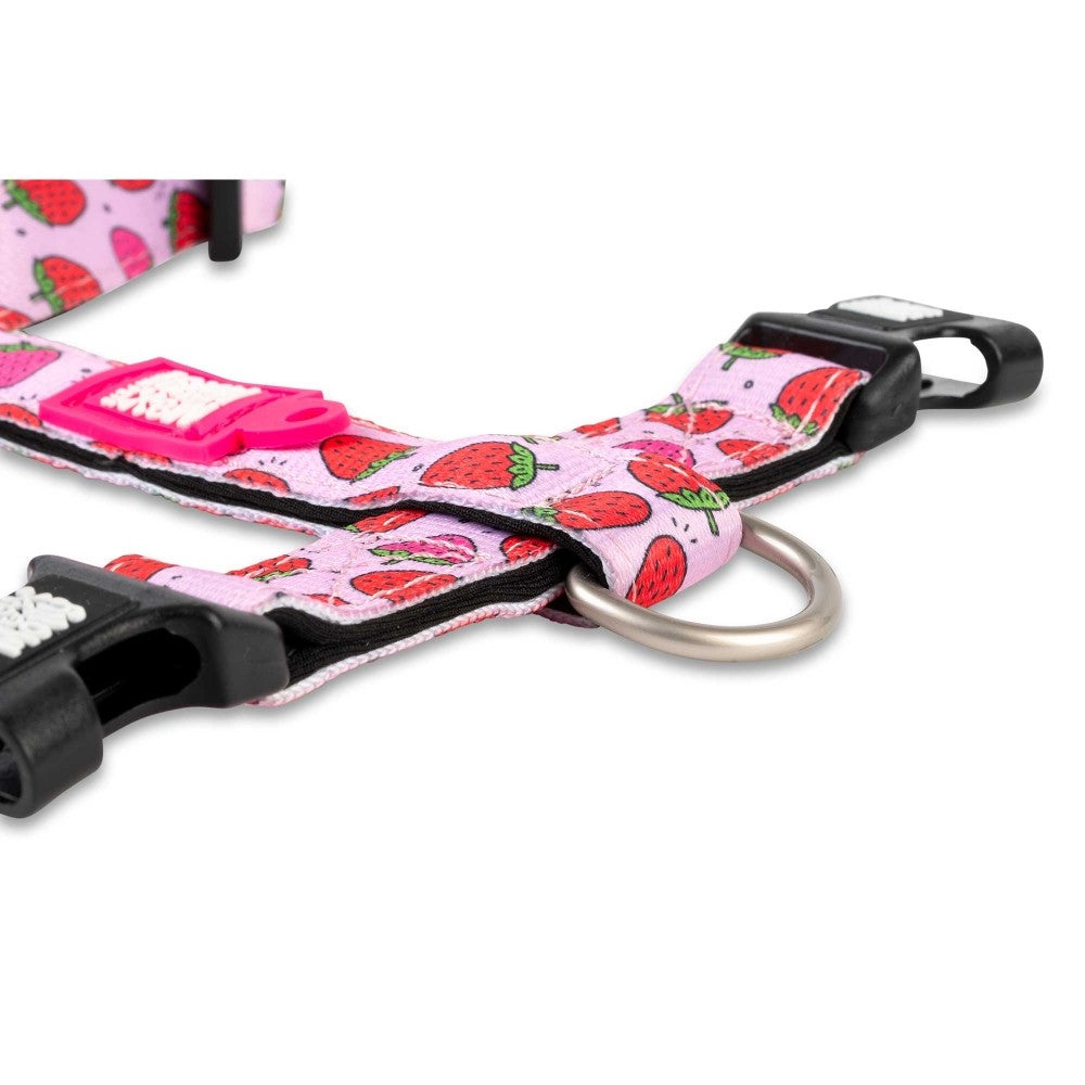 Max & Molly Strawberry Dream Köpek Göğüs Tasması M